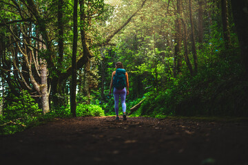 Beautiful woman walking through idyllic beautiful forest in the afternoon. Levada of Caldeirão...