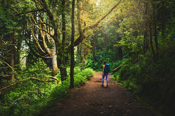 Beautiful woman walking through idyllic beautiful forest in the afternoon. Levada of Caldeirão...