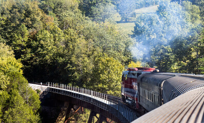 train going over bridge in forest - Powered by Adobe