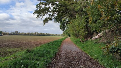 wald und feld in grätzingen herbst