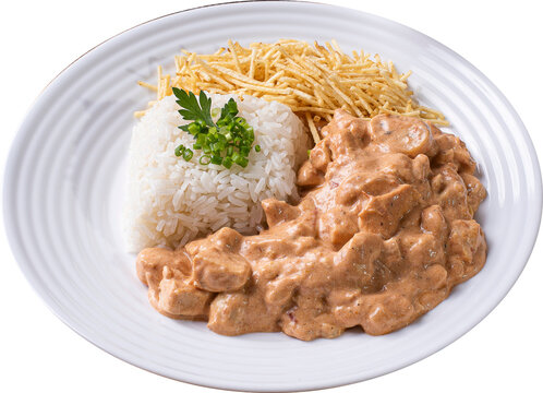 Chicken stroganoff accompanied with rice, salad and potato straw. Top view.