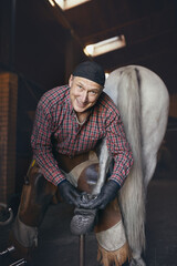 happy European blacksmith shoves back hoof of white horse