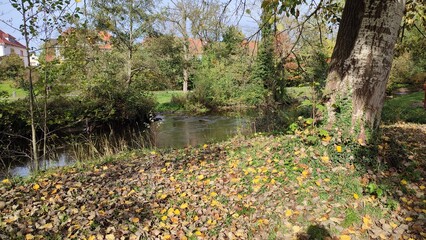 alb fluss in karlsruhe albufer