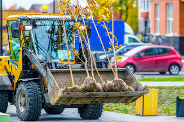 Front view of the open bucket of the machine - loader in selective focus , delivering plants and...