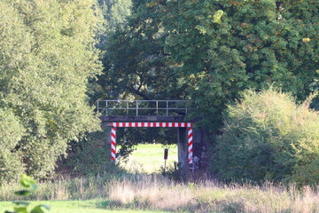 bridge train track in the forest
