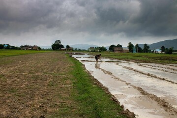 Closeup view of a man cultivating land on a gloomy day