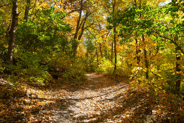Hiking trail through Fall landscape.