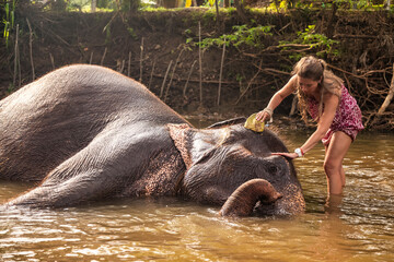 Happy young woman tourist un summer clothe washing elephant in countryside river Sri Lanka,...