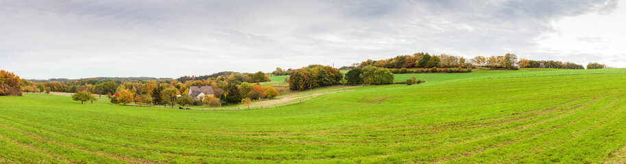 Fototapeta na wymiar Farm land in the middle of green field. Panoramic rural autumn scenery in North Rhine Westphalia in Germany.