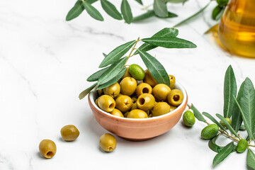 olive oil olive branch tree on light background. Long banner format