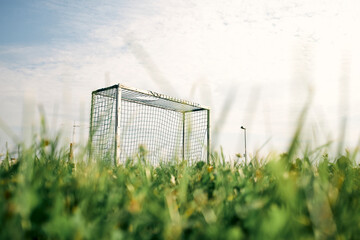 Football goal in grassy field - obrazy, fototapety, plakaty