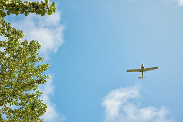 Plane flying over green tree