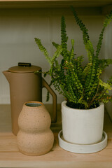 Closeup of shelf with plant and vases