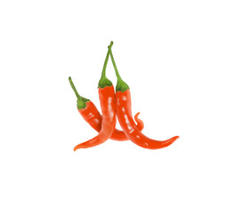 Red chili    isolated on transparent png