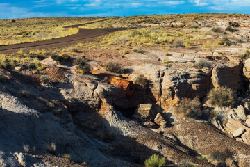 Beautiful Petrified Forest National Park Landscape in March
