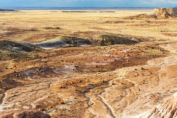 Fototapeta na wymiar Beautiful Petrified Forest National Park Landscape in March