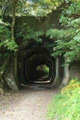 廃線鉄道の古い八角トンネル
