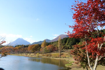 秋の志高湖