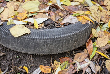 one old black large car tire in the gray earth and fallen dry leaves on the street