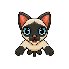 Obraz premium Cute siamese cat cartoon jumping