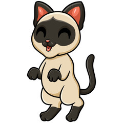 Obraz na płótnie Canvas Cute siamese cat cartoon standing