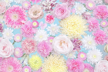 Relief of pink and yellow flowers with blue background. 3D illustration. 3D render
