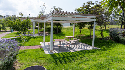 Side view of a wooden pergola in a green garden.