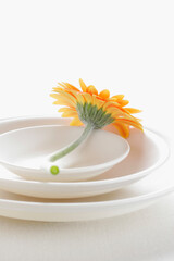 Gerbera flower and white plates