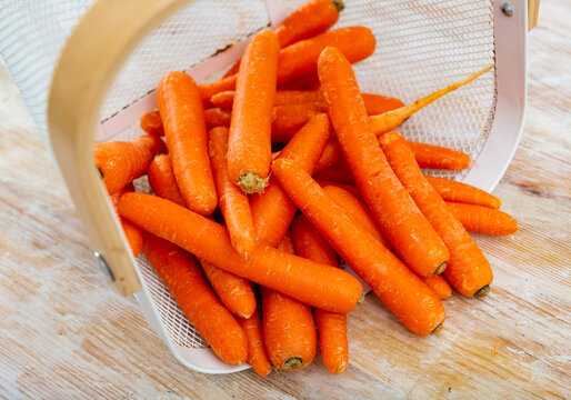 Fresh whole carrots, poured out of a bucket on a wooden table. Close-up image