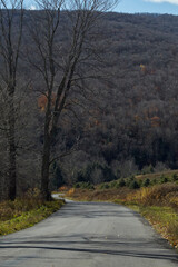 Late fall landscape scene with bare trees. Country road. 