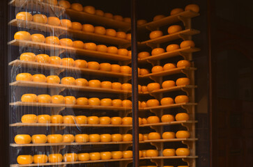 Many cheese wheels on shelves in store, view through glass window