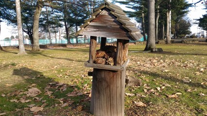 wooden bird house