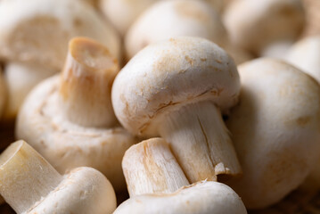 Fresh white champignon mushroom texture background