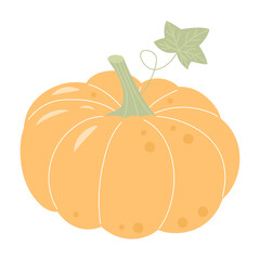 Pastel boho pumpkin isolated on white background. Thanksgiving Day, Harvest festival, Halloween symbol.
