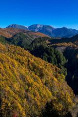 御嶽山（岐阜県下呂町小坂町 御嶽パノラマラインから）