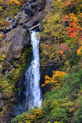 紅葉した滝の水が止めどなく流れ落ちていきます