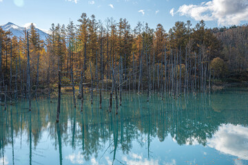 北海道の白金の青い池