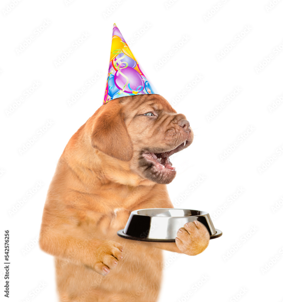 Poster Laughing puppy wearing party's cap holds empty bowl and looks away on empty space. isolated on white background