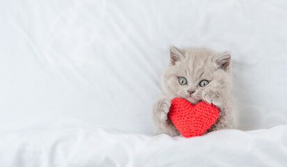 Cute fold kitten hugs red heart on a bed under warm white blanket. Valentines day concept. Top down view. Empty space for text