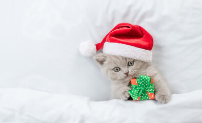 Playful kitten wearing red santa's hat hugs gift box under white warm blanket. Top down view. Empty...