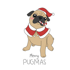 Merry Pugmas , Pug dog wear Santa hat and candy in mouth cartoon illustration	
