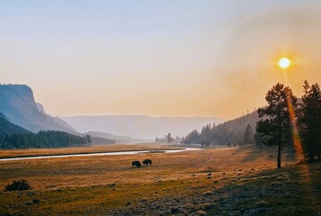 Home on the Range © Sara