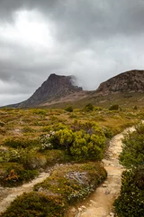 Voilages Mont Cradle mountain path in the mountains