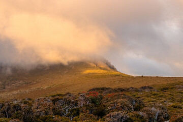 golden hour in the mountains