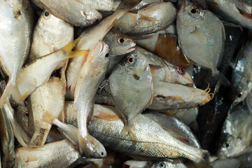Uncooked Fresh fish in traditional Asian markets, especially in Indonesia
