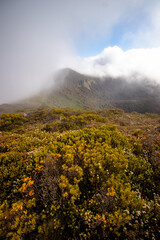fog over the mountains