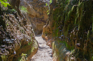 Narrow pebble pathway between ground cliff in sunlight