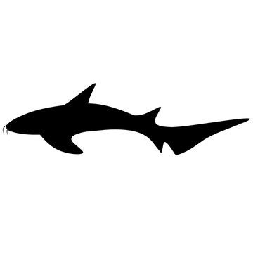 recommend clip art: Vector illustration of a Nurse Shark on a white background. Silhouette of a black fish swimming in search of its prey.