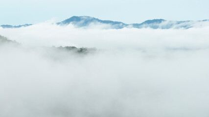 Morning mist cover tree and mountain