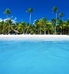 tropical sea and blue sky